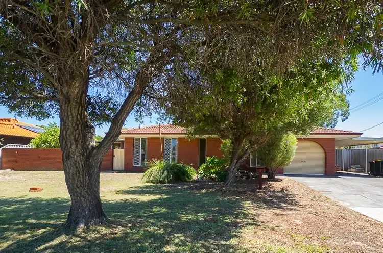 Main view of Homely house listing, 3 Phoenix Street, Dianella WA 6059