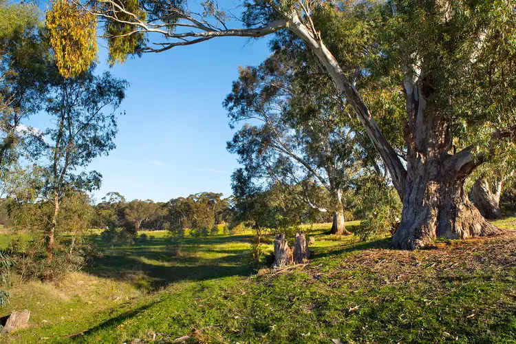 Fourth view of Homely land listing, 42-44 Yapeen School Lane, Yapeen VIC 3451