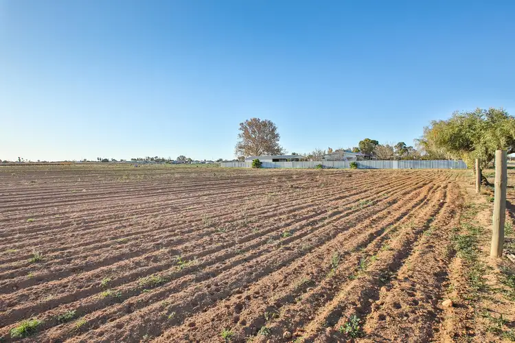 Third view of Homely land listing, 599 Karadoc Avenue, Irymple VIC 3498