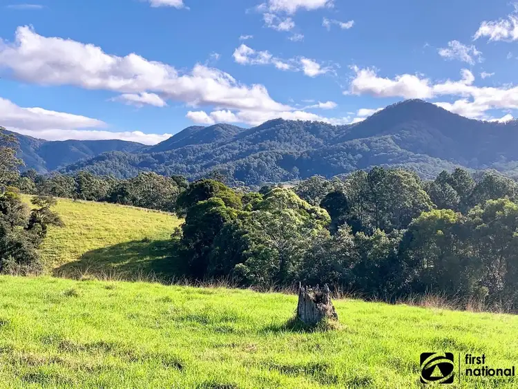 Main view of Homely rural property listing, Lot 1/219 South Island Loop Road, Upper Orara NSW 2450