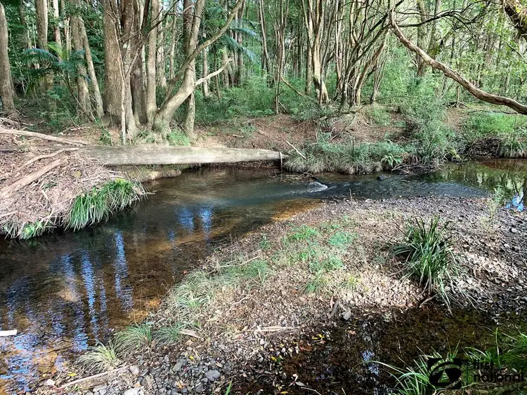 Third view of Homely rural property listing, Lot 1/219 South Island Loop Road, Upper Orara NSW 2450