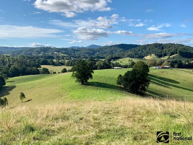Fifth view of Homely rural property listing, Lot 1/219 South Island Loop Road, Upper Orara NSW 2450