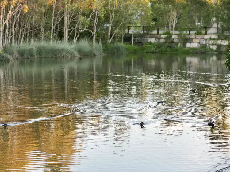 Third view of Homely house listing, 6 Parklands Boulevard, Little Mountain QLD 4551