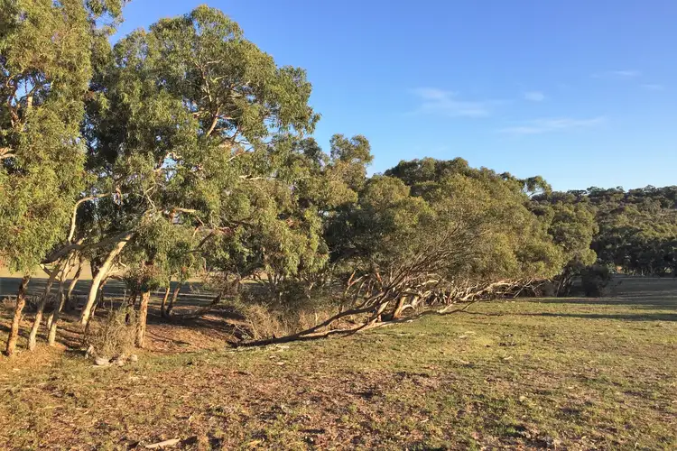 Fifth view of Homely rural property listing, Lot 14 Cleland Gully Road, Tooperang SA 5255