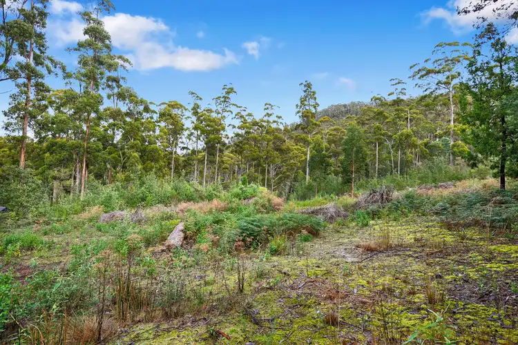 Second view of Homely land listing, 21 Lyndal Drive, Eaglehawk Neck TAS 7179