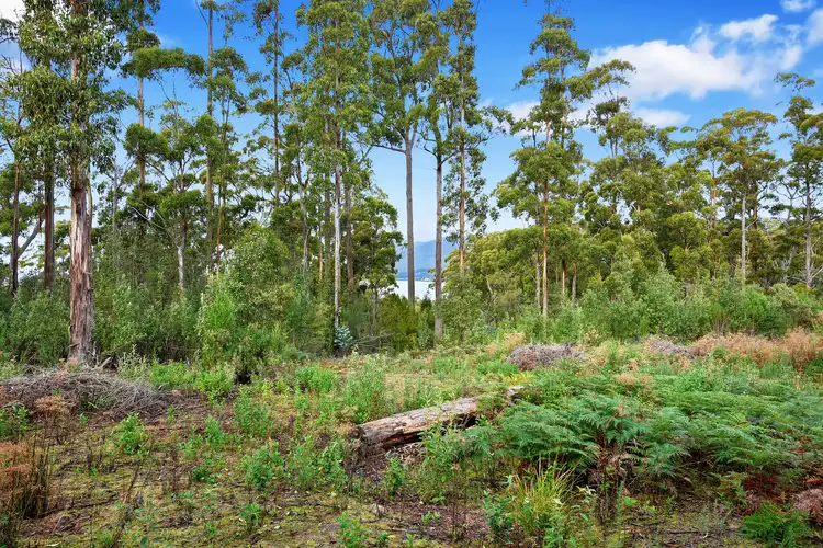 Fourth view of Homely land listing, 21 Lyndal Drive, Eaglehawk Neck TAS 7179