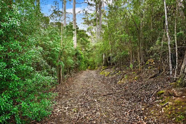 Seventh view of Homely land listing, 21 Lyndal Drive, Eaglehawk Neck TAS 7179