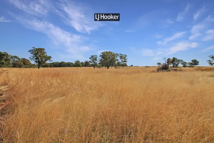 Seventh view of Homely rural property listing, 191 Halls Lane, Inverell NSW 2360