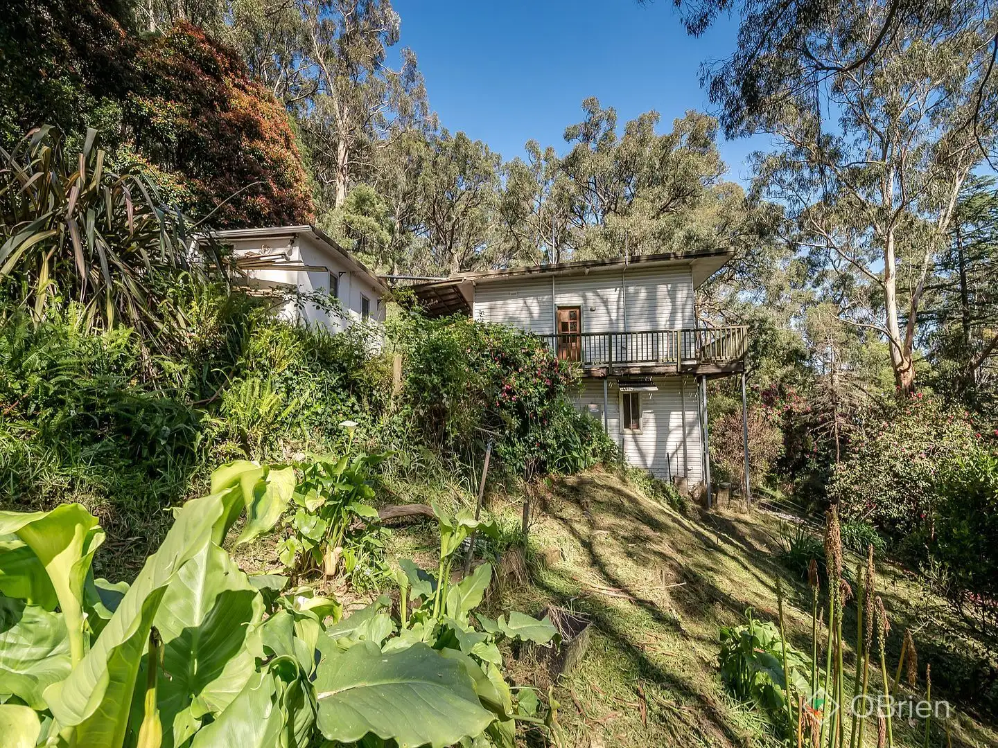 Main view of Homely house listing, 121-125 Mast Gully Road, Upwey VIC 3158