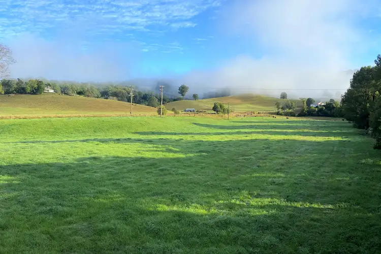 Main view of Homely land listing, LOT 38, 502 Dyers Loop Road, Argents Hill NSW 2449