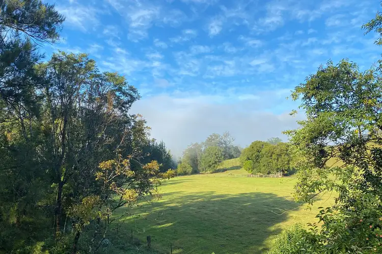Third view of Homely land listing, LOT 38, 502 Dyers Loop Road, Argents Hill NSW 2449