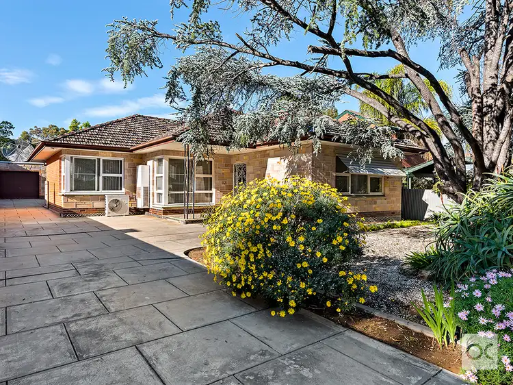 12 Maesbury Street, Kensington SA 5068