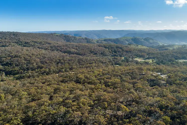 Fifth view of Homely rural property listing, 218 Alpha Road, Mudgee NSW 2850