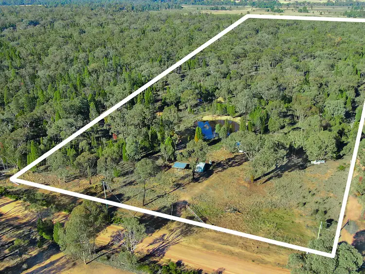Second view of Homely rural property listing, 12 Pine Close, Mudgee NSW 2850
