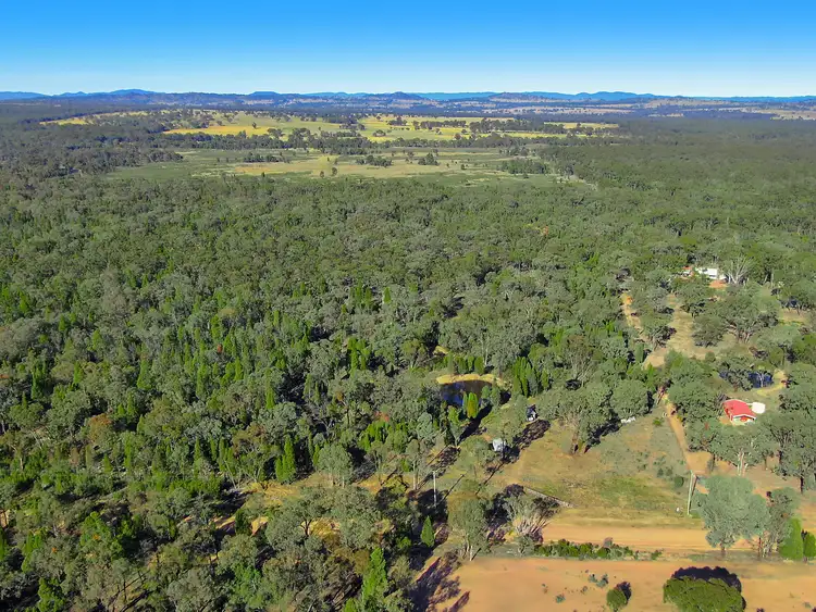 Fourth view of Homely rural property listing, 12 Pine Close, Mudgee NSW 2850