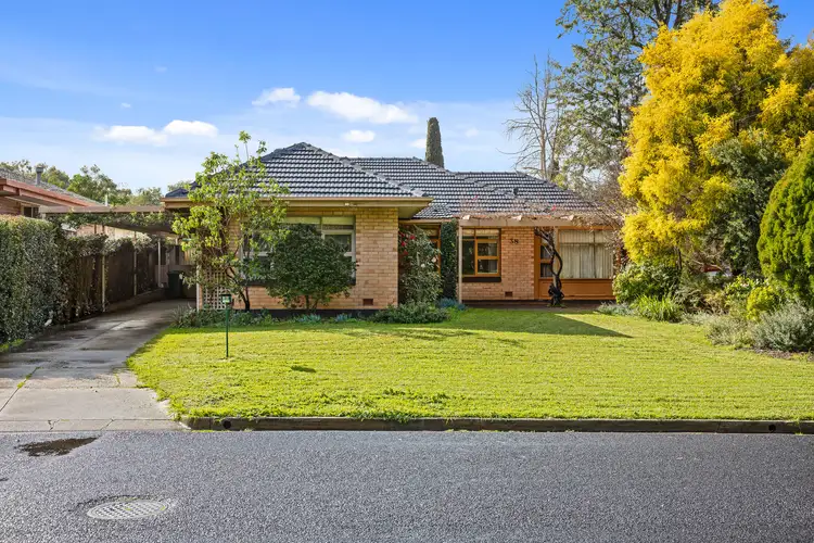 38 Greenglade Drive, Paradise SA 5075