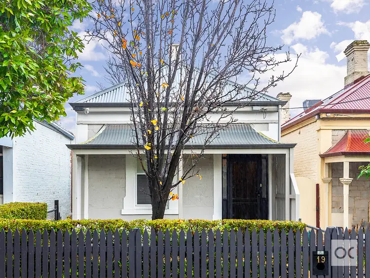 Main view of Homely house listing, 19 Alfred Street, Norwood SA 5067