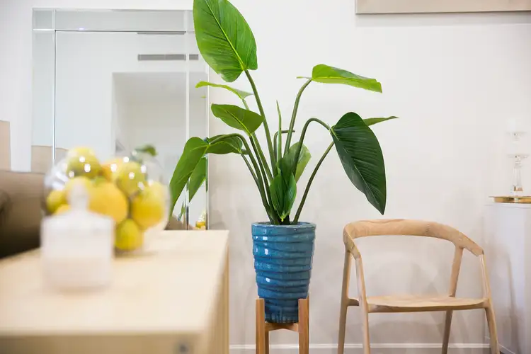 Third view of Homely apartment listing, 55/21-25 Peninsula Drive, Breakfast Point NSW 2137