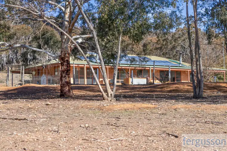Main view of Homely rural property listing, 82 Collins Road, Numeralla NSW 2630