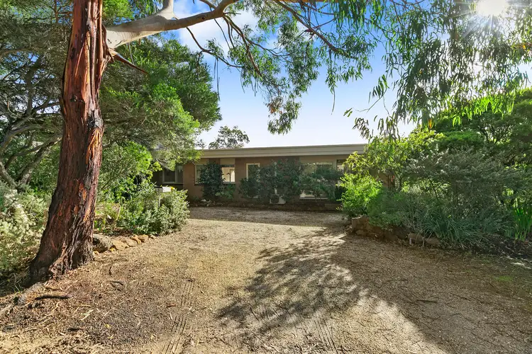 Second view of Homely house listing, 3 Fernald Avenue, Anglesea VIC 3230