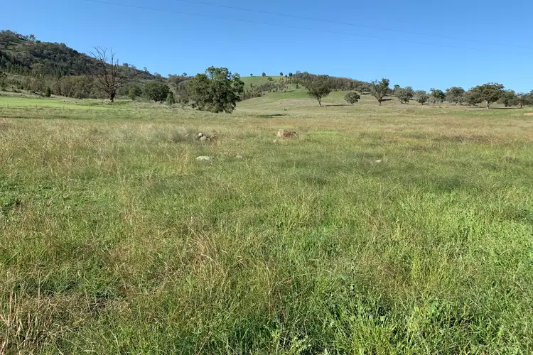 Fifth view of Homely rural property listing, 3360 Yarrabin Road, Mudgee NSW 2850