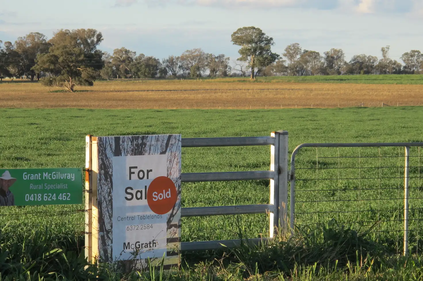 Main view of Homely rural property listing, 147 Egans Lane, Gulgong NSW 2852