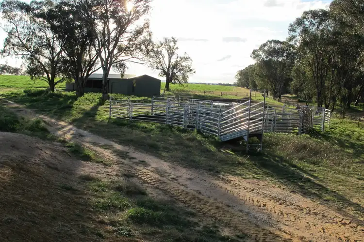 Second view of Homely rural property listing, 147 Egans Lane, Gulgong NSW 2852