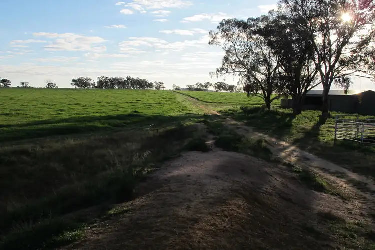 Fourth view of Homely rural property listing, 147 Egans Lane, Gulgong NSW 2852