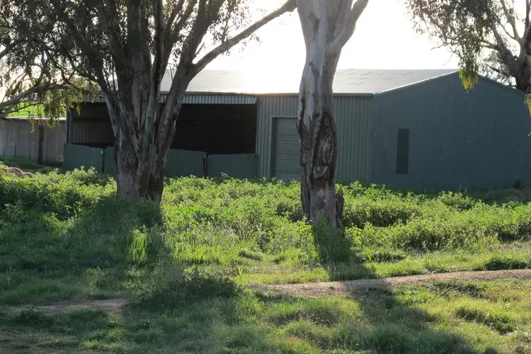 Fifth view of Homely rural property listing, 147 Egans Lane, Gulgong NSW 2852