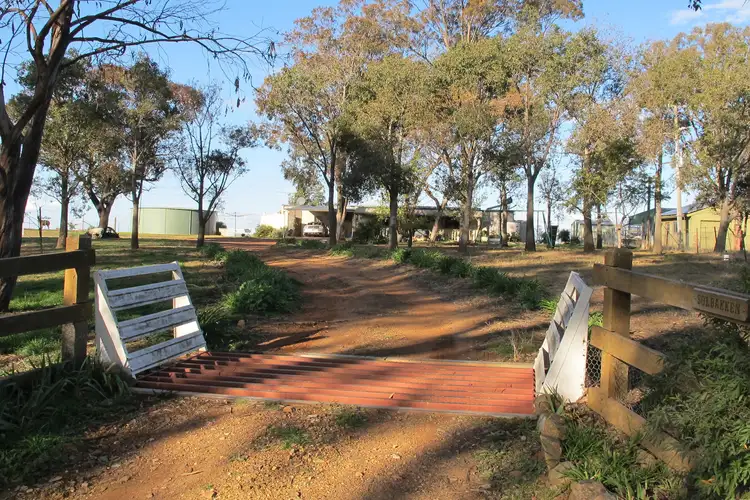 Second view of Homely rural property listing, 267 Upper Piambong Road, Piambong NSW 2850