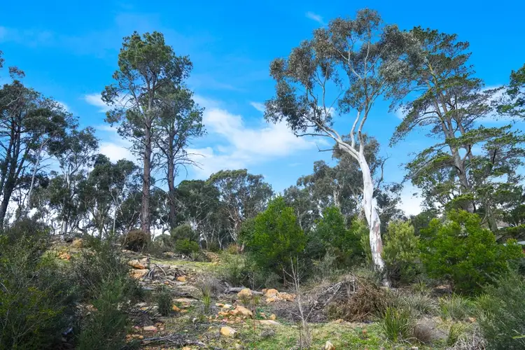 Fifth view of Homely land listing, 32 Oldbury Street, Berrima NSW 2577