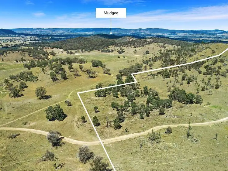 Fourth view of Homely rural property listing, 775 Black Springs Road, Mudgee NSW 2850