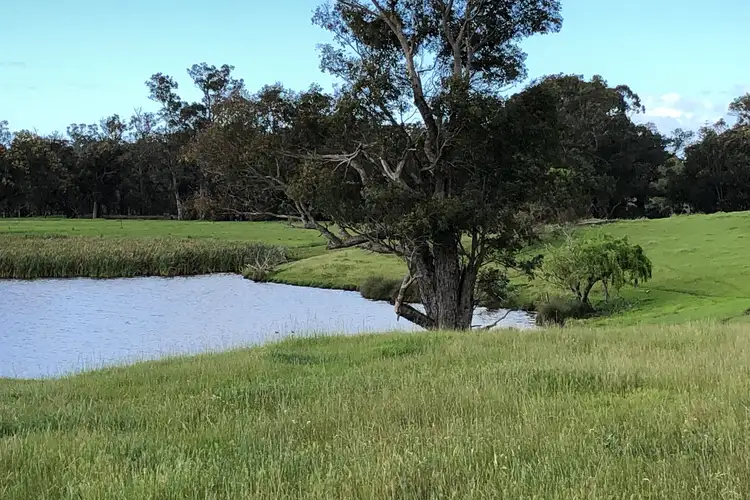 Third view of Homely rural property listing, LOT 111 Mallokup Road, Capel WA 6271