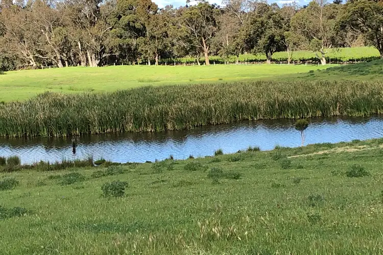 Fourth view of Homely rural property listing, LOT 111 Mallokup Road, Capel WA 6271