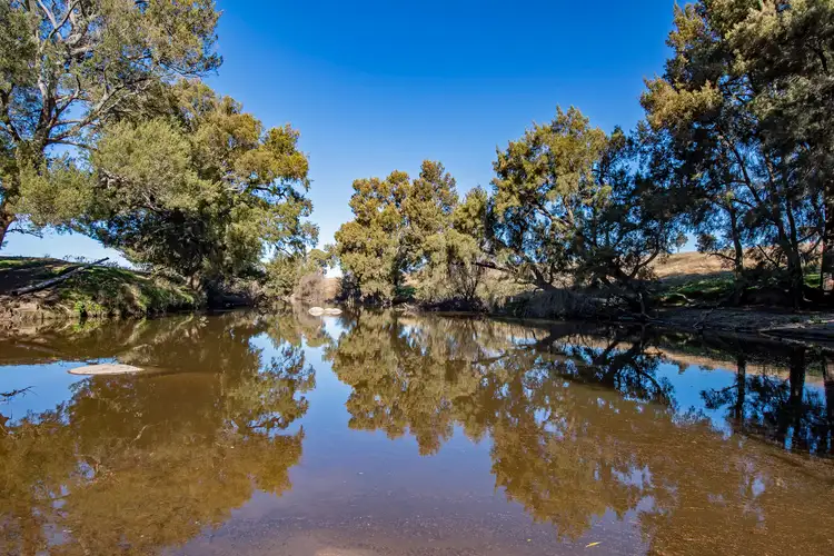 Second view of Homely rural property listing, 127 Surveyors Creek Road, Walcha NSW 2354