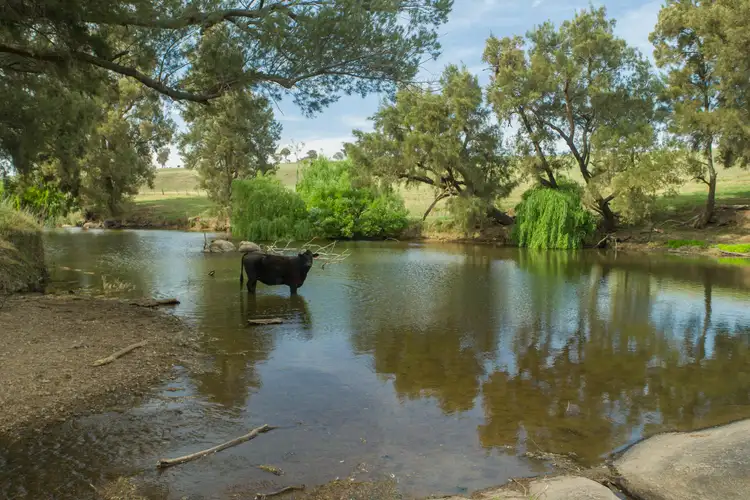 Fourth view of Homely rural property listing, 127 Surveyors Creek Road, Walcha NSW 2354