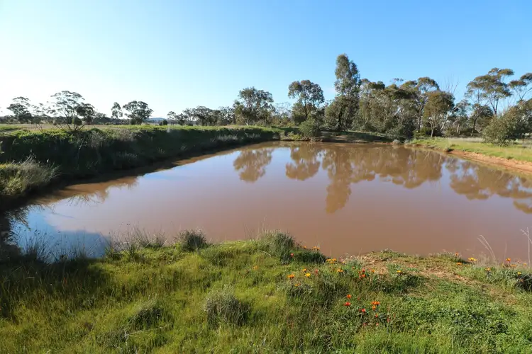 Main view of Homely rural property listing, Eucy Road, Korong Vale VIC 3520
