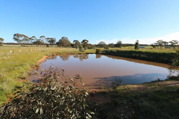Fifth view of Homely rural property listing, Eucy Road, Korong Vale VIC 3520
