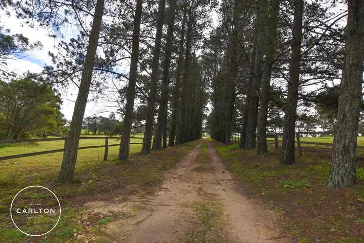 Third view of Homely rural property listing, Address available on request