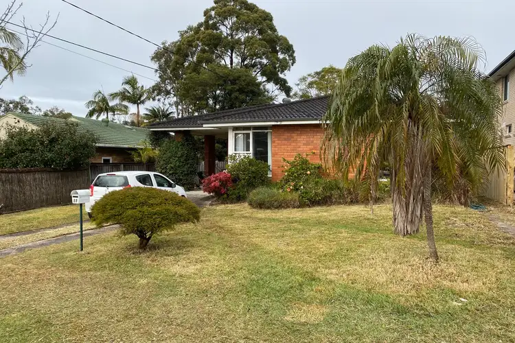 19 Sturt Street, Frenchs Forest NSW 2086