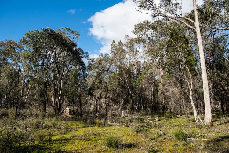 Fourth view of Homely rural property listing, 824 Yarrawonga Road, Mudgee NSW 2850