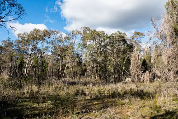 Fifth view of Homely rural property listing, 824 Yarrawonga Road, Mudgee NSW 2850