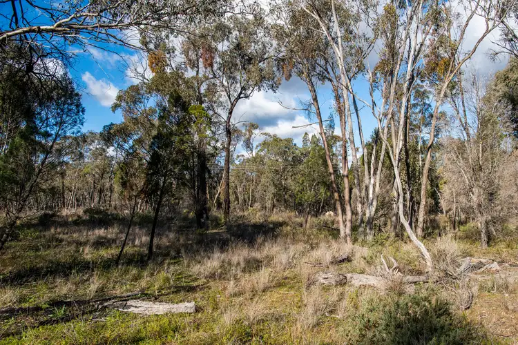 Sixth view of Homely rural property listing, 824 Yarrawonga Road, Mudgee NSW 2850