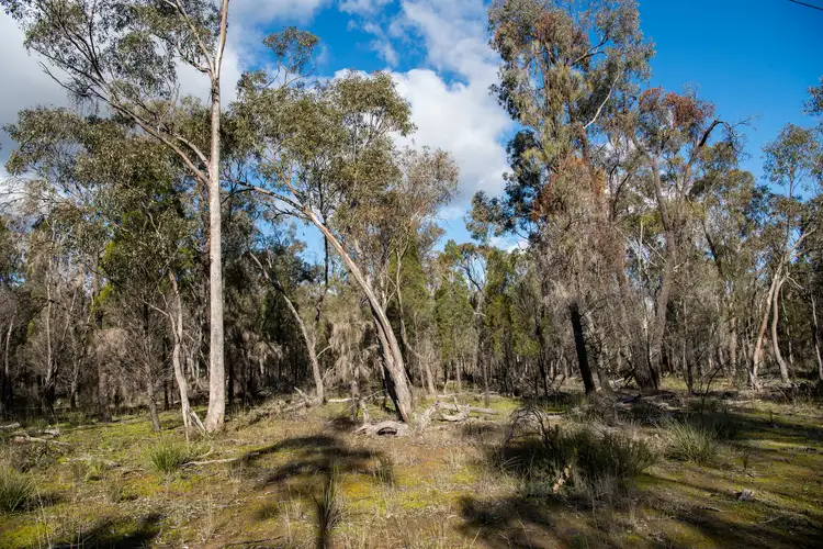 Seventh view of Homely rural property listing, 824 Yarrawonga Road, Mudgee NSW 2850