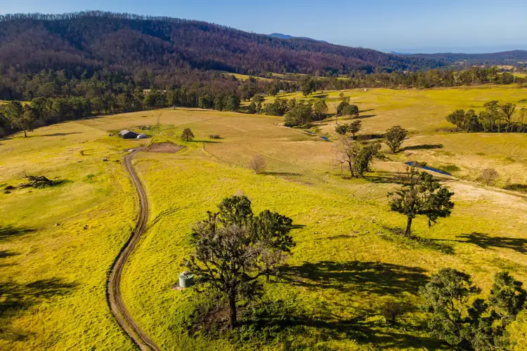 Main view of Homely rural property listing, 10440 Princes Highway, Cobargo NSW 2550