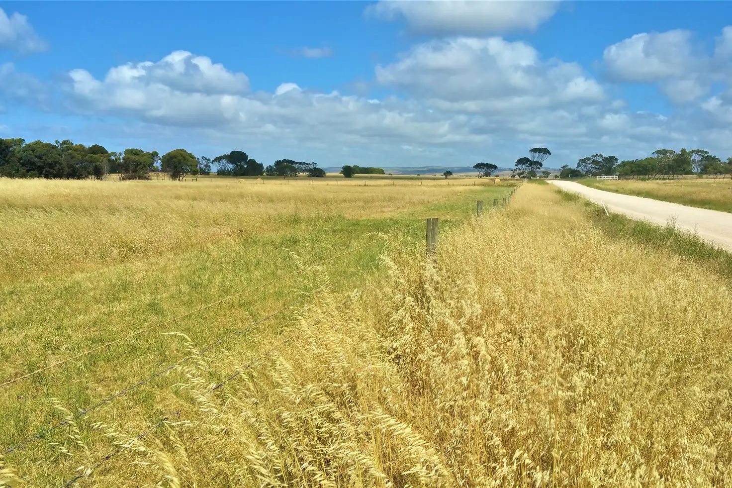 Main view of Homely land listing, LOT 11 Rickaby Road, Goolwa North SA 5214