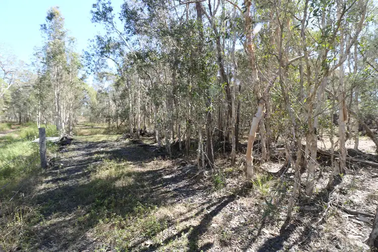Sixth view of Homely rural property listing, 388 Mcdonalds Road, North Isis QLD 4660