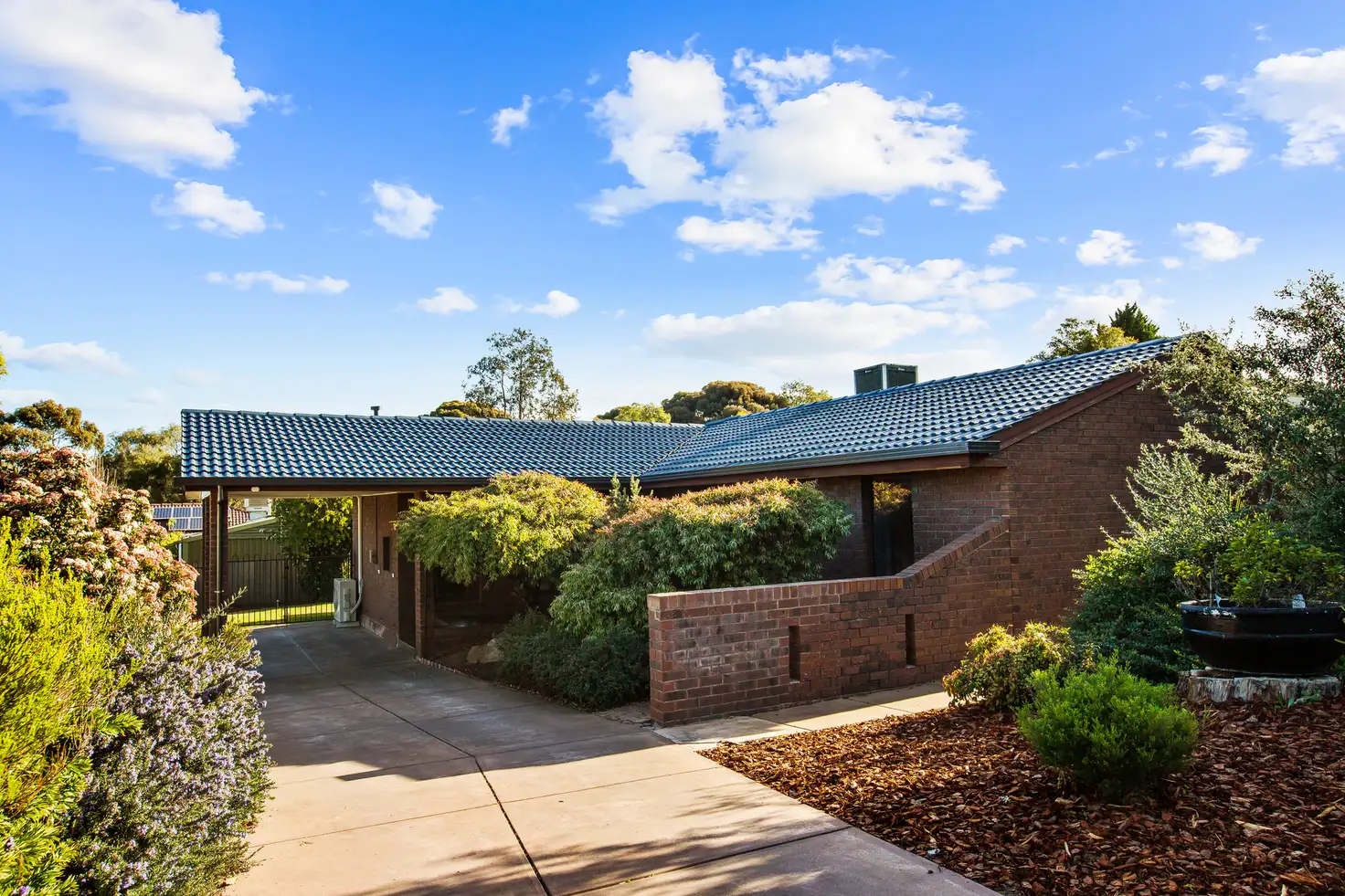 Main view of Homely house listing, 8 Plover Avenue, Modbury Heights SA 5092