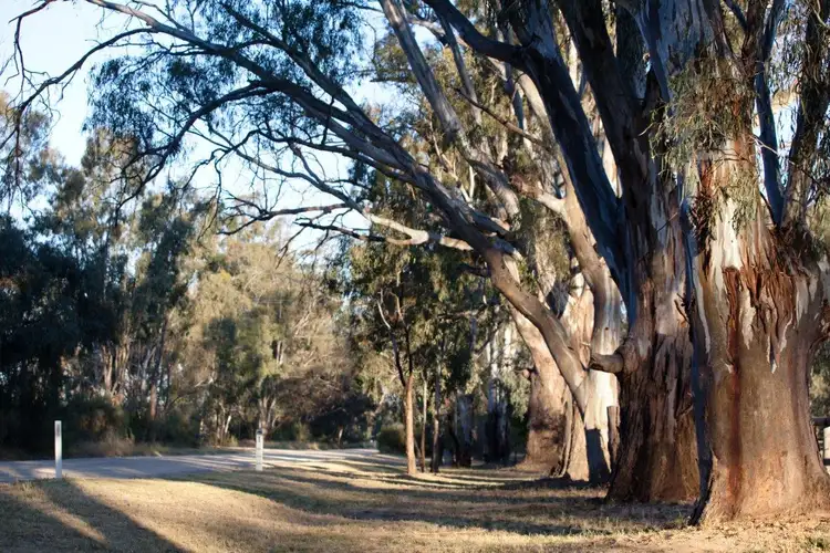 Seventh view of Homely land listing, LOT 6 Cadell Street, Moama NSW 2731