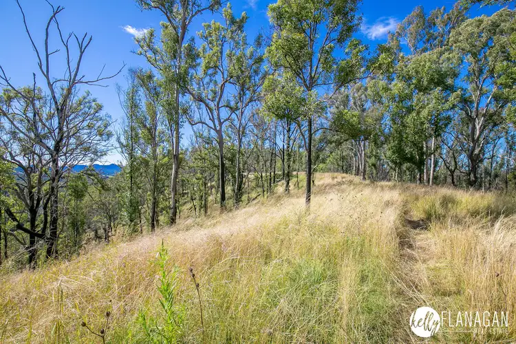 Seventh view of Homely rural property listing, 2831 Armidale Road, Hickeys Creek NSW 2440